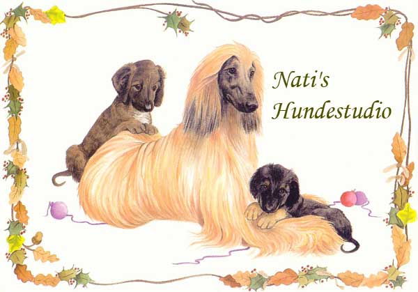 Nati’s Hundestudio