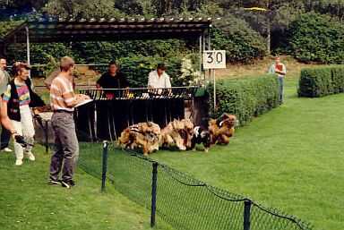 Rennen