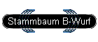 Stammbaum B-Wurf